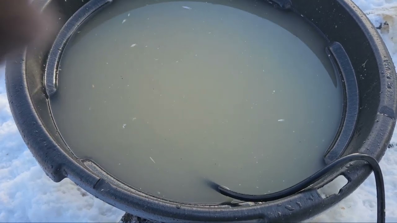 Лучший погружной водонагреватель для защиты от обледенения в резервуаре для кур | Автор: Tiflev
