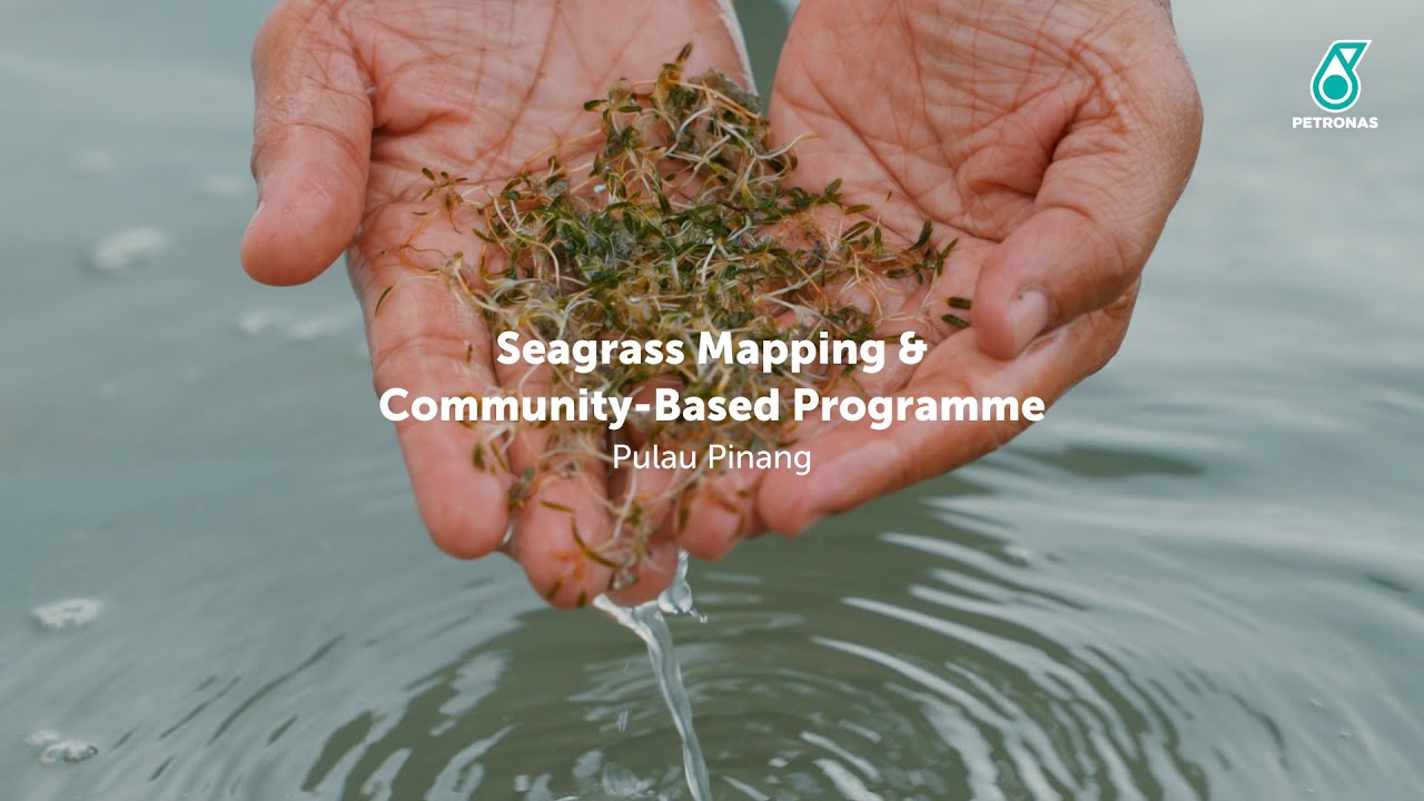 PETRONAS Seagrass Mapping & Community-Based Programme | Part 2: Pulau Pinang