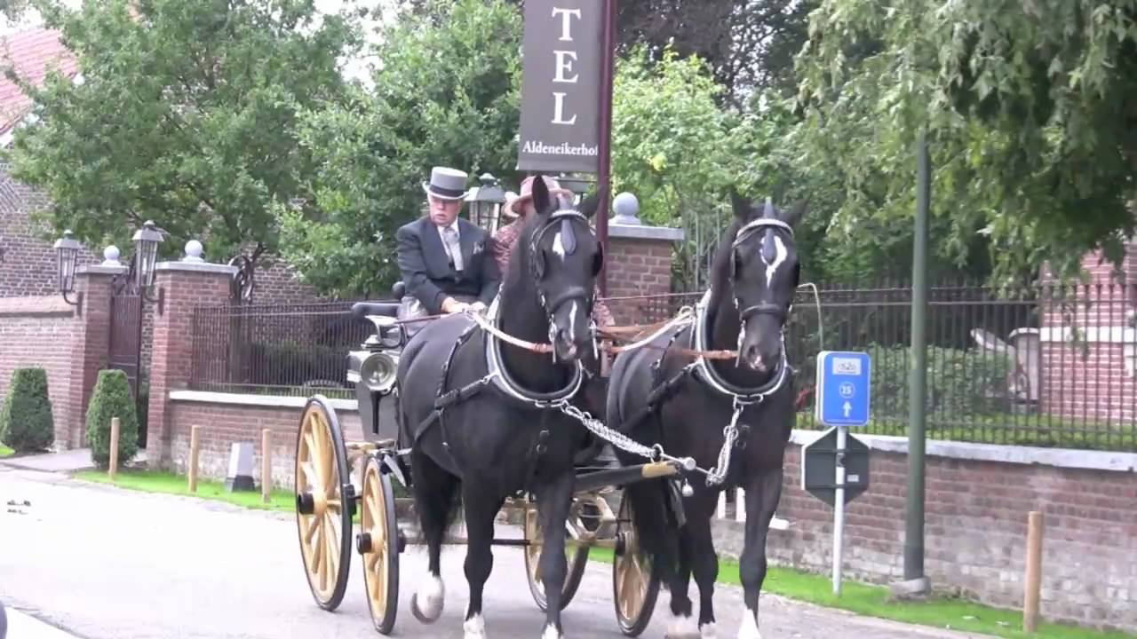 Historische Koetsentocht in Maaseik