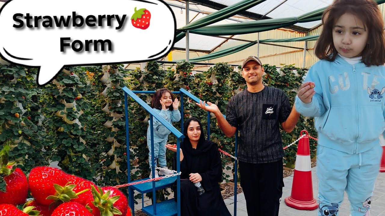 Amazing Strawberry form in Alahsa Hafuf SOUDIA ARABIA🇸🇦