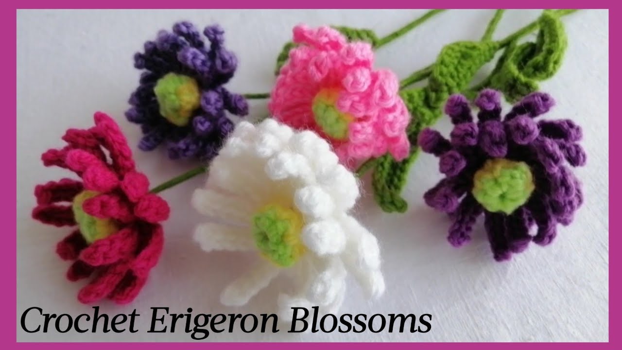 Crochet Erigeron Blossoms (Dignity)