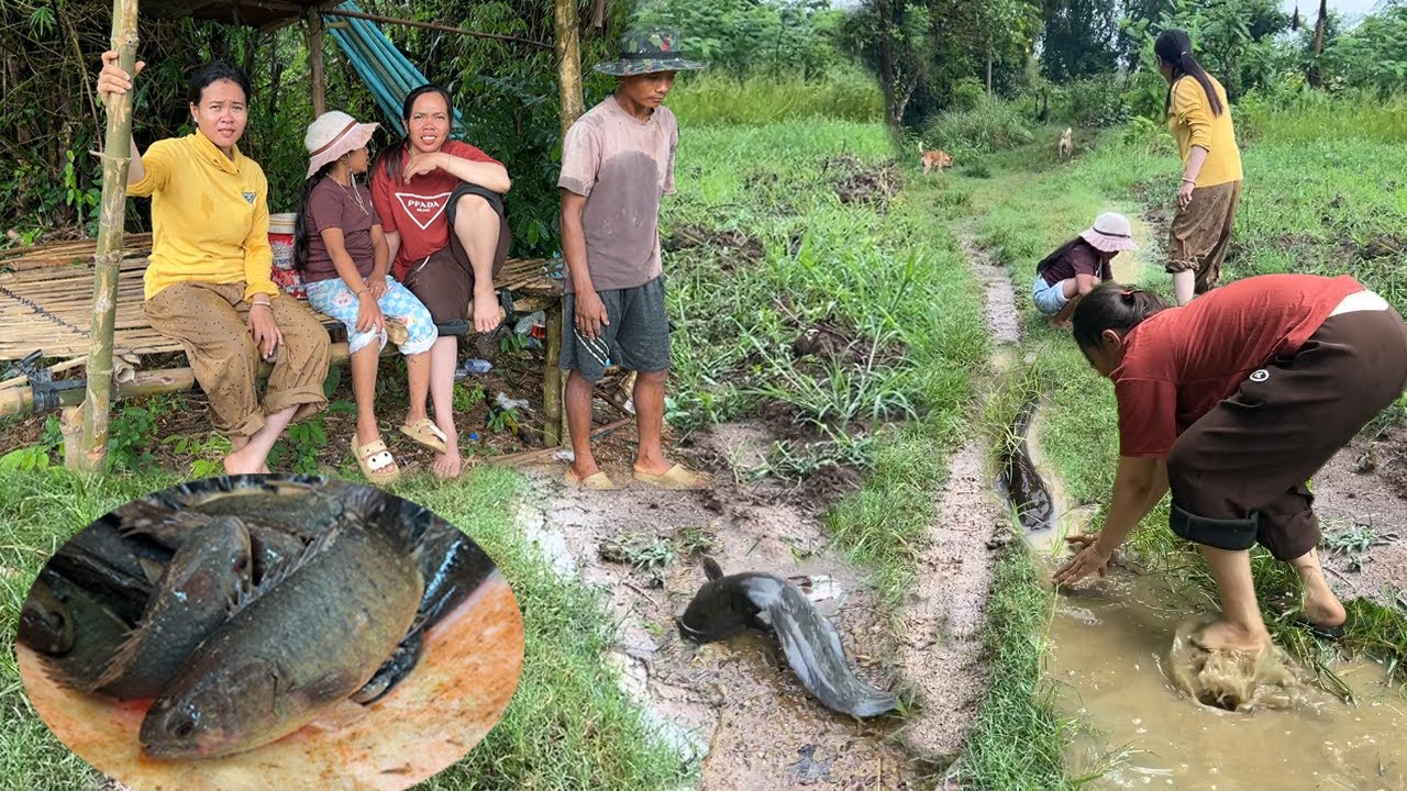 ភ្លៀងទាំងយប់ទាំងថ្ងៃ ភ្លៀងរហូតត្រីឡើងពីអូរ ចាប់បានមិនចេះតិច ស្រុកស្រែជនបទ