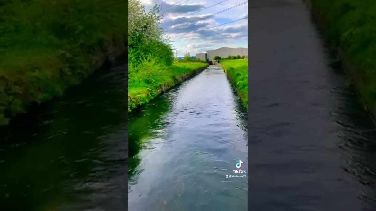 Pani panja dareyanwa wala nehri hogaya Song. #shorts #video #status #punjabisong