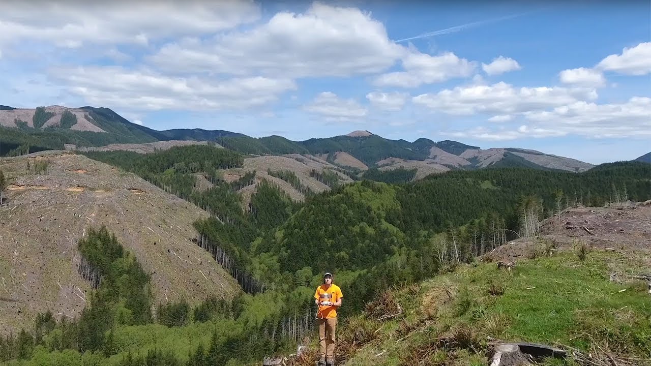 How Rayonier Foresters Use Drones in the Field