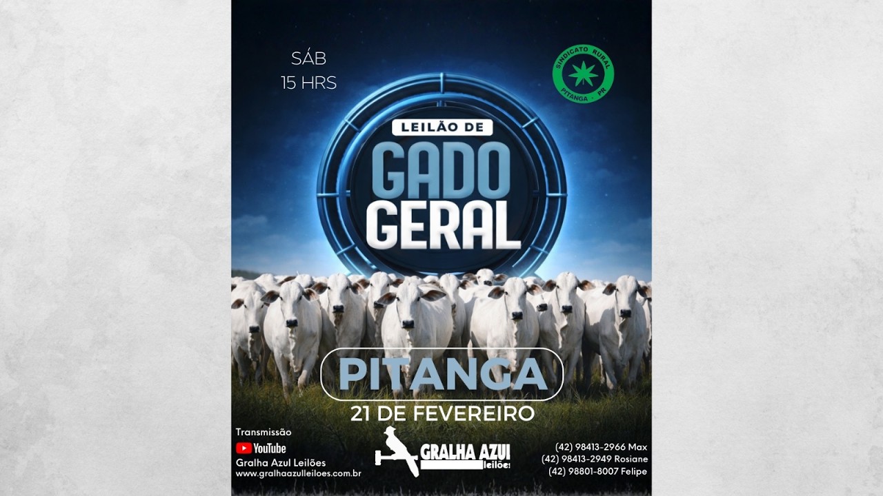 LEILÃO AO VIVO - PITANGA - 15:00 H
