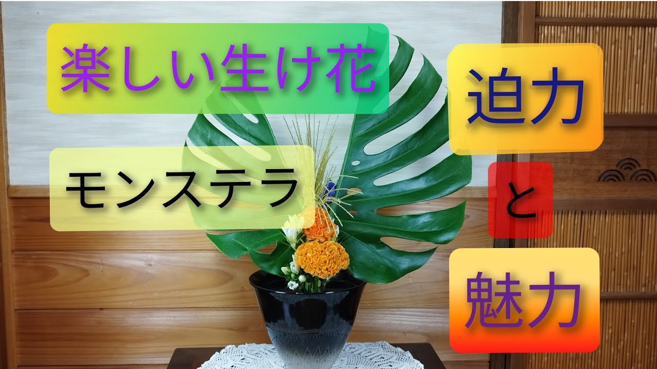 【楽しい生け花】モンステラの迫力のある優雅な魅力を作品にしました【尾花】