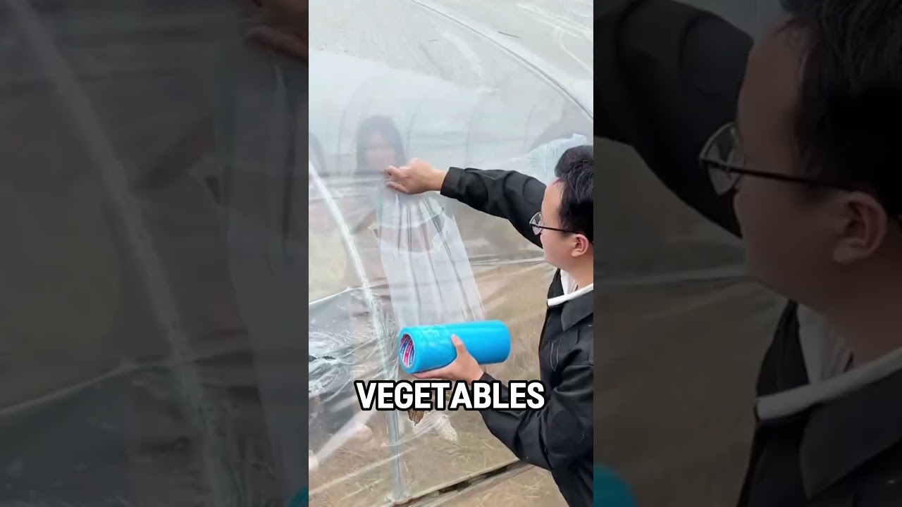 Неудачная попытка украсть овощи.