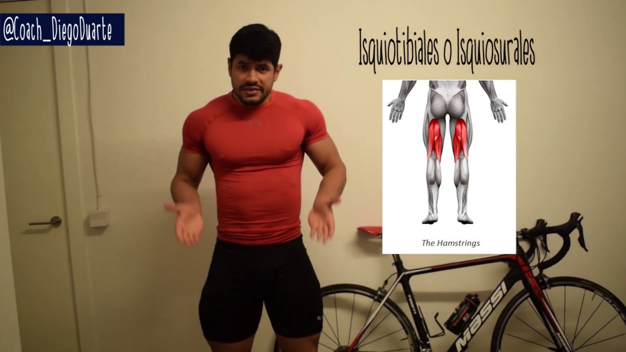 ENTRENAMIENTO DE ISQUIOTIBIALES