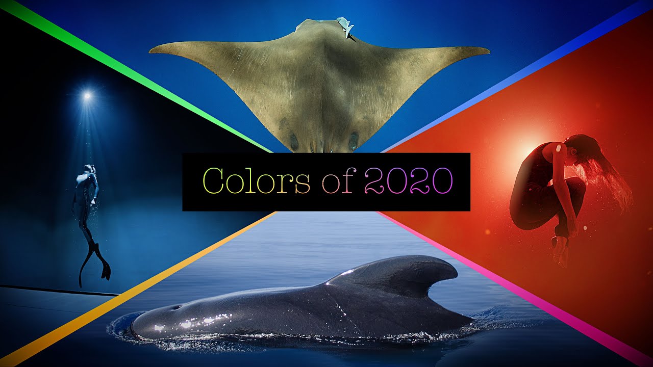 COLORS OF 2020