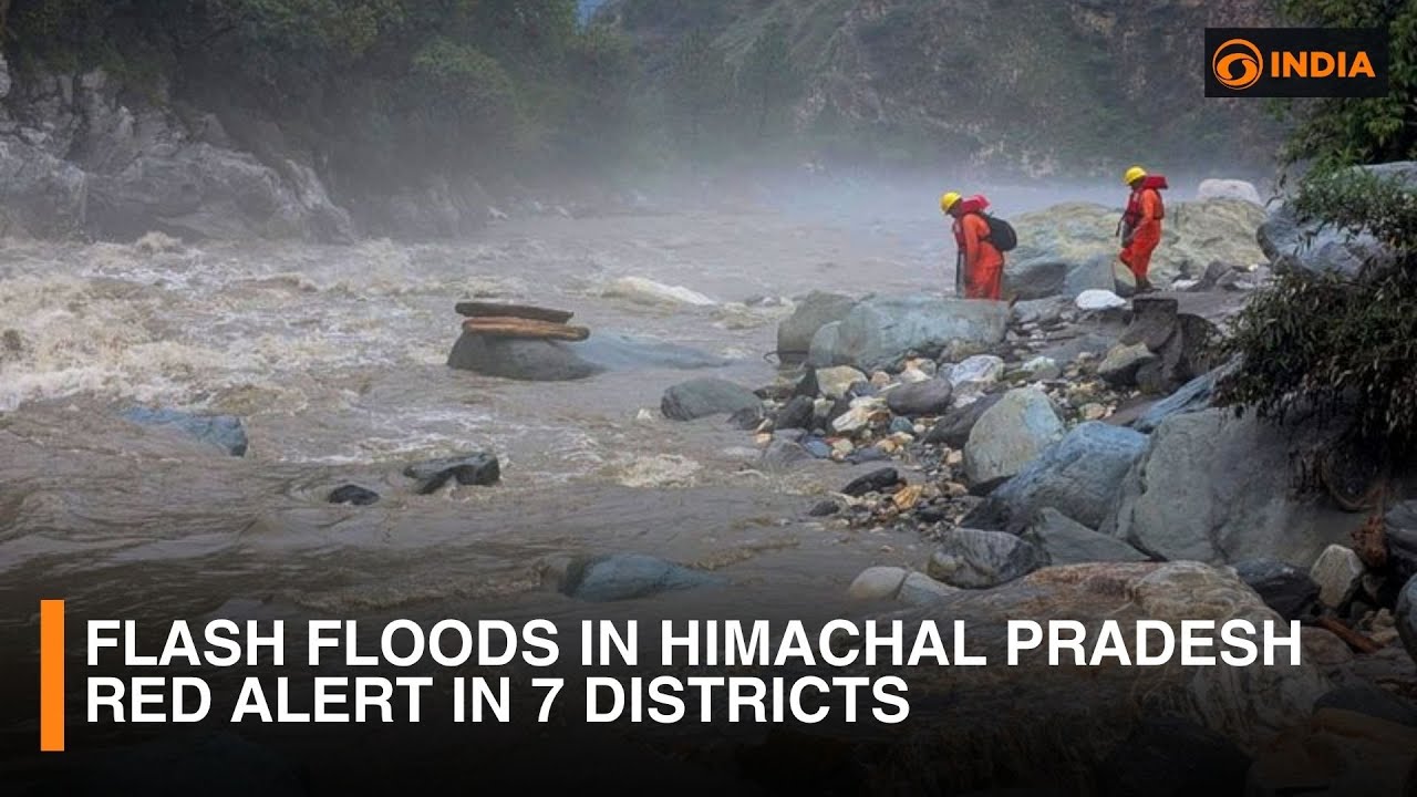 Flash Floods in Himachal Pradesh | Red Alert in 7 Districts | Ground Report from Shimla | DD India