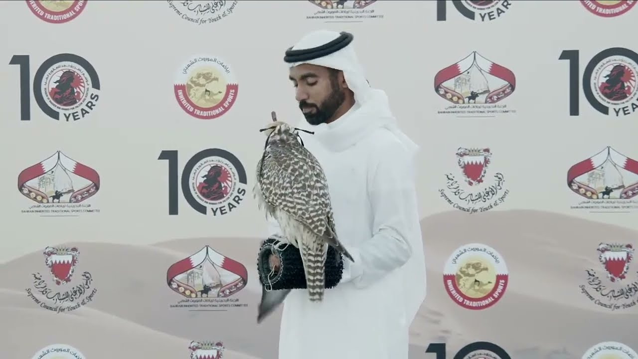 موسم ناصر بن حمد للصقور والصيد - شوط الملاك