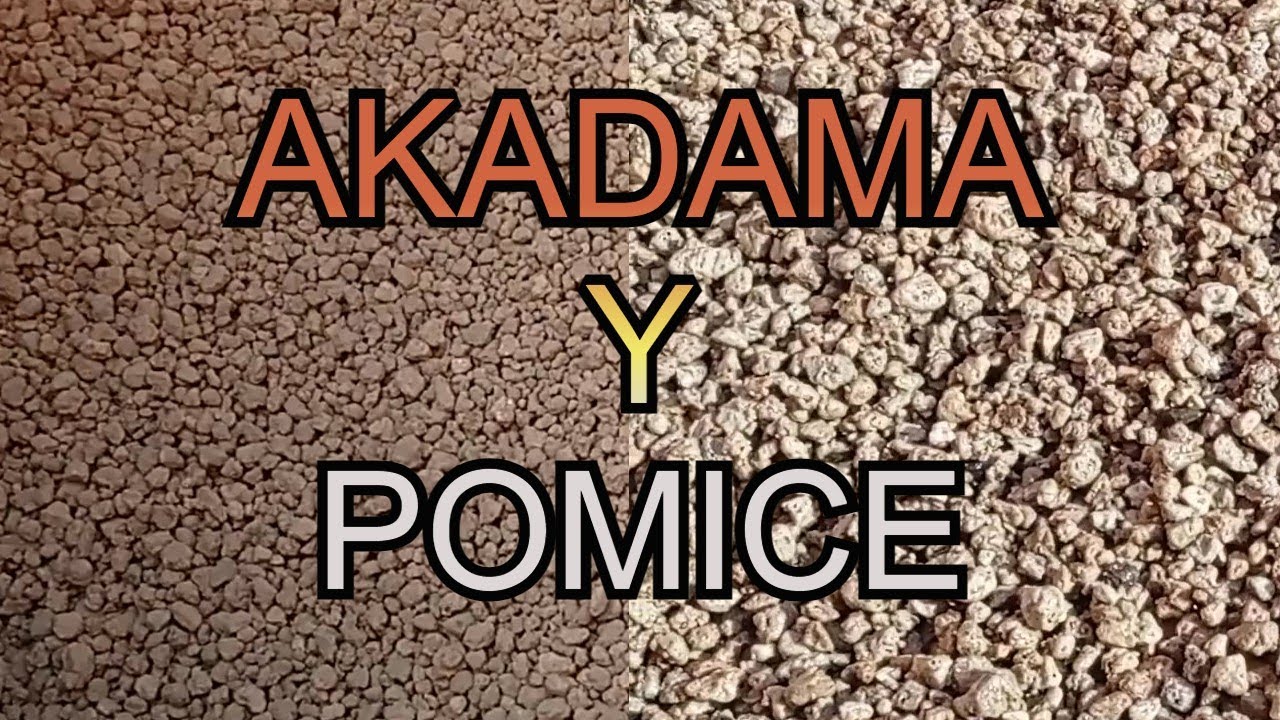 AKADAMA Y POMICE
