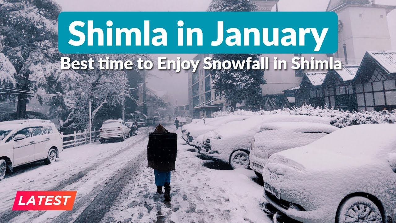 Shimla in January 2026 | Best time to Enjoy Snowfall in Shimla | Shimla in Snowfall Latest Vlog
