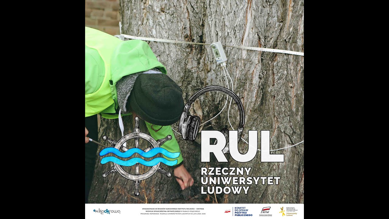 Pomnikowy Wiąz &ndash; Badanie Drzewa