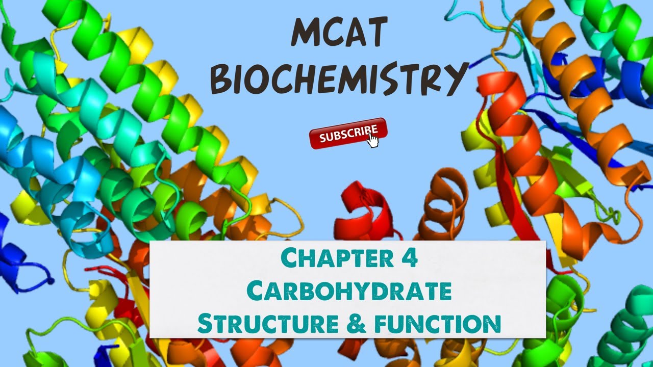 MCAT Biochemistry: Chapter 4 - Carbohydrate Structure and Function (1/1)