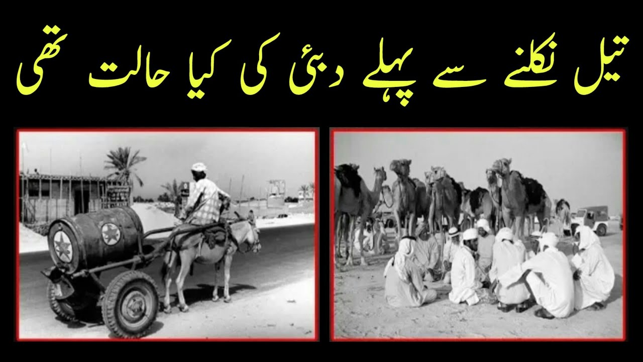 What Was Dubai And UAE Like Before The Discovery of Oil - Sachai TV