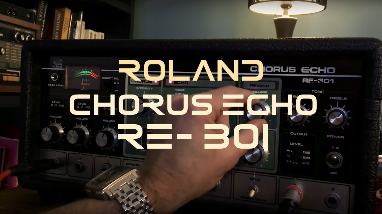 Minibrute through a Roland RE 301 + sound on sound