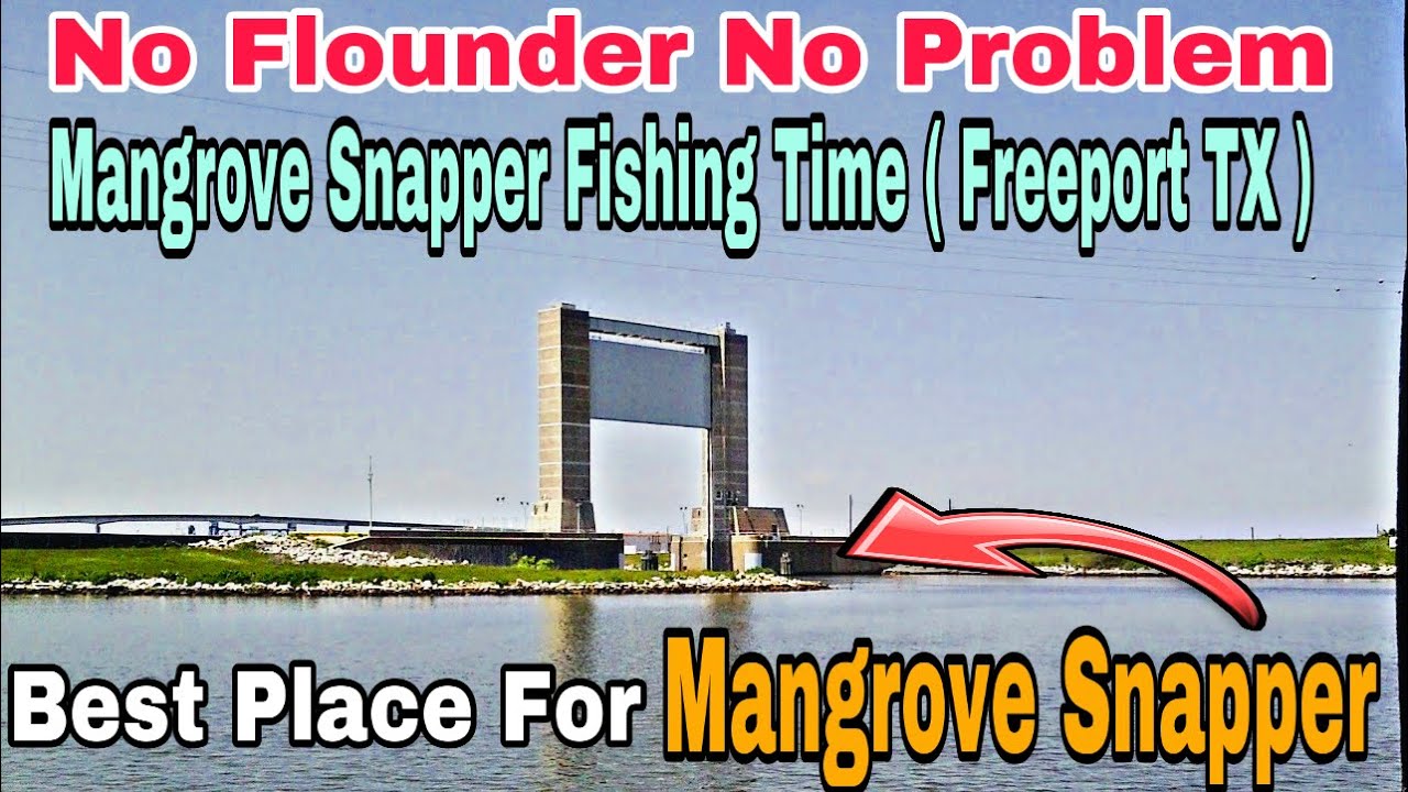 Секретное место для ловли мангрового люциана | Фрипорт, Техас (14.11.2021)