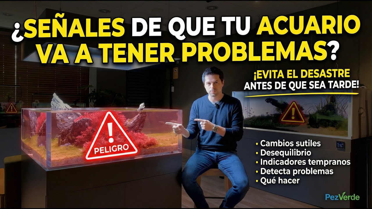 Siete Señales de que tu acuario va a tener problemas | Cómo evitarlo | PezVerde