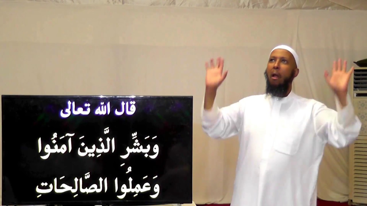 صفة الجنة