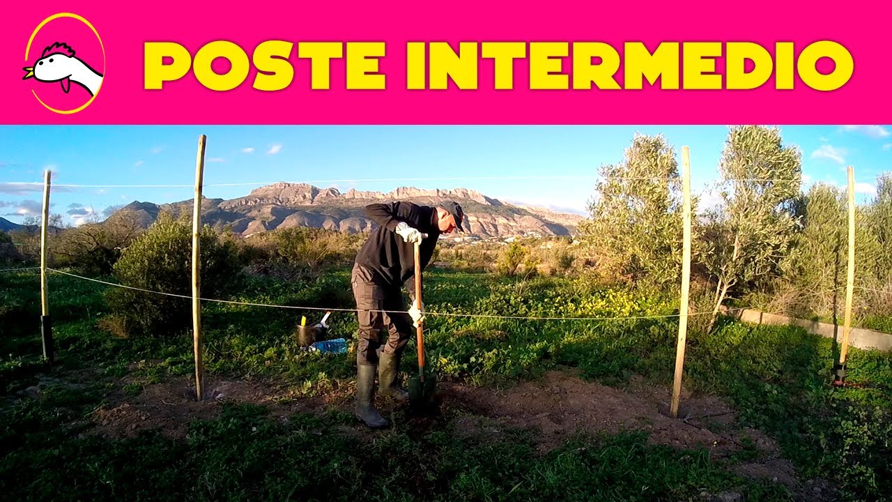 ÚLTIMO poste del lateral - Esto empieza a tomar forma (Episodio 6) | La Granja de Alicia 🐔🥚