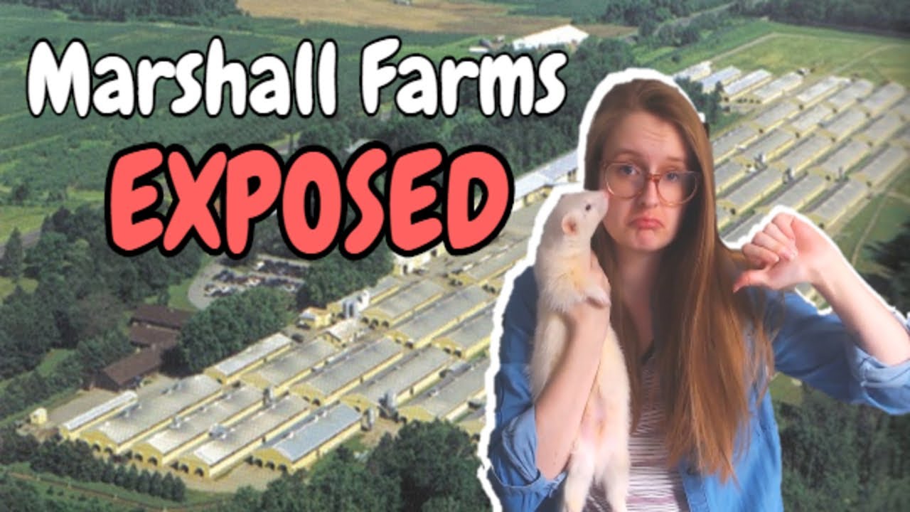Marshall Farms EXPOSED | Pazuandfriends
