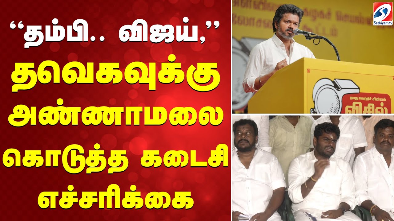'' தம்பி..'' விஜய்,தவெகவுக்கு அண்ணாமலை கொடுத்த கடைசி எச்சரிக்கை
