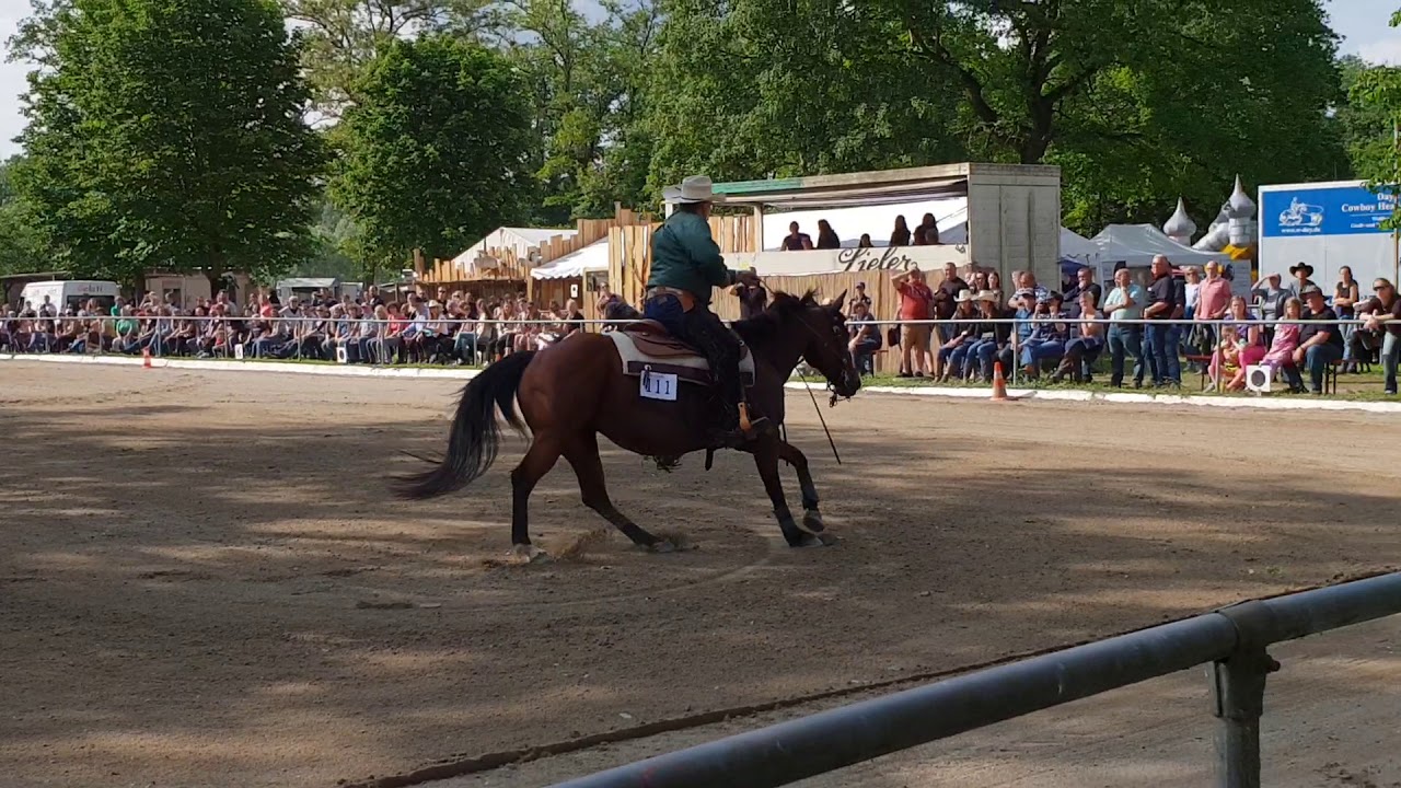 EWU C-Turnier Neuenburg - Hannes Bolz & Especial Shy Girl
