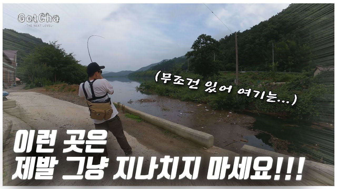 배스들은 장애물을 좋아한다고 하죠??? ?(feat. 박성완)