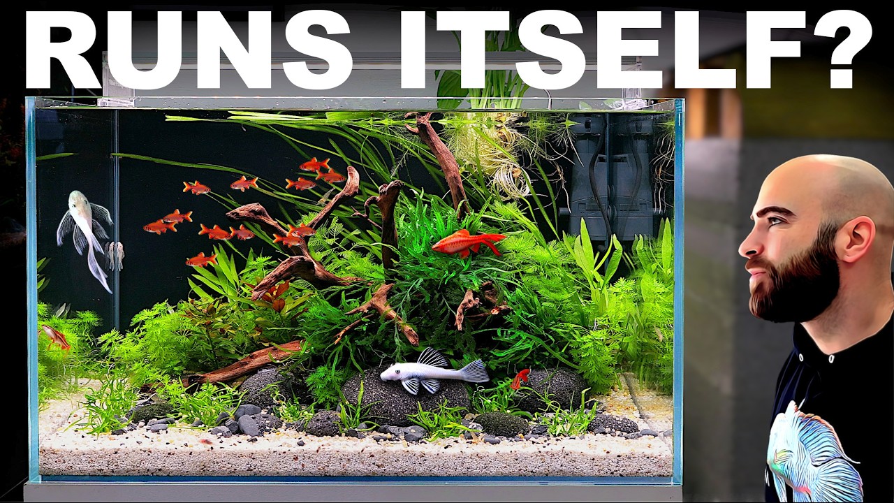 Building A No Filter, 2ft Ecosystem Aquarium