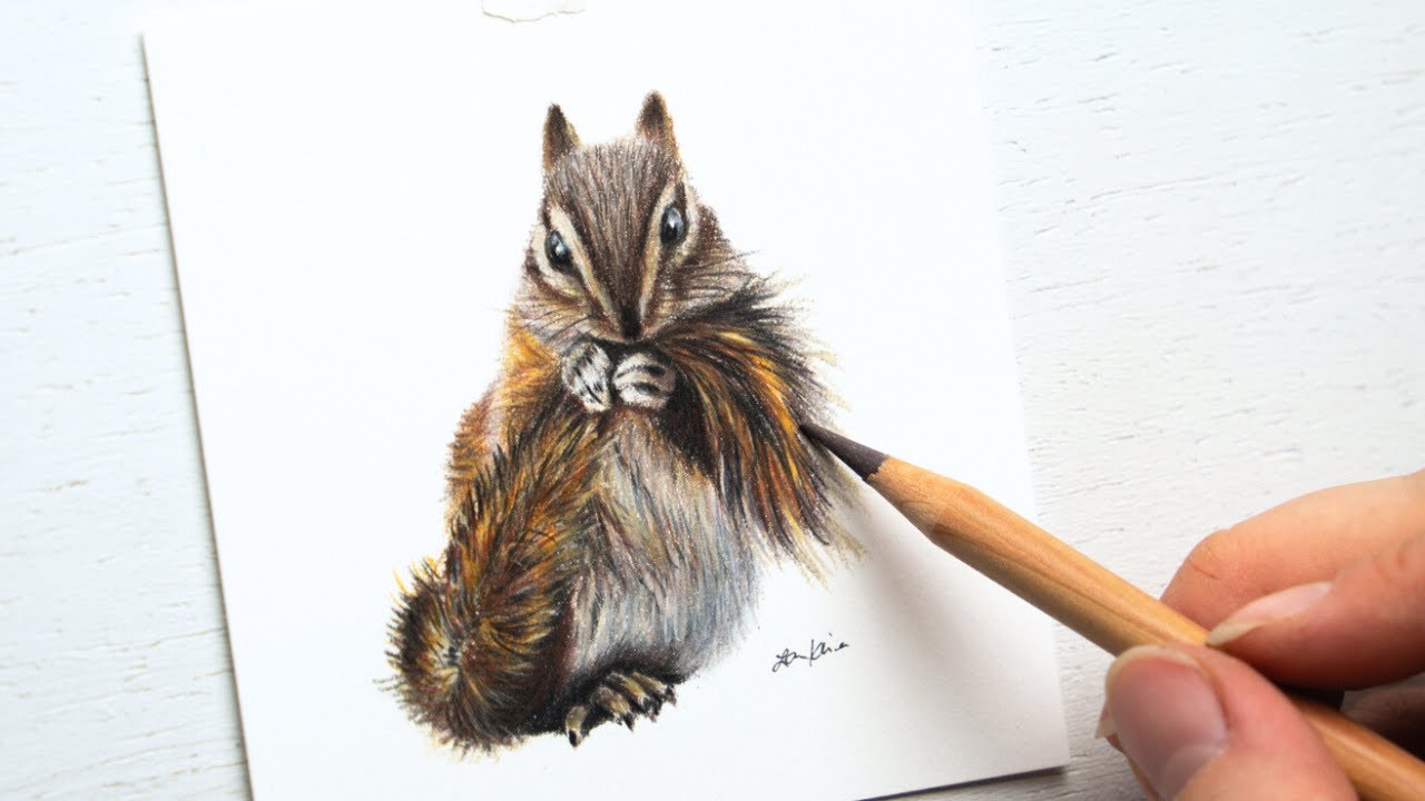 Unwind with relaxing art | Chipmunk Drawing Timelapse