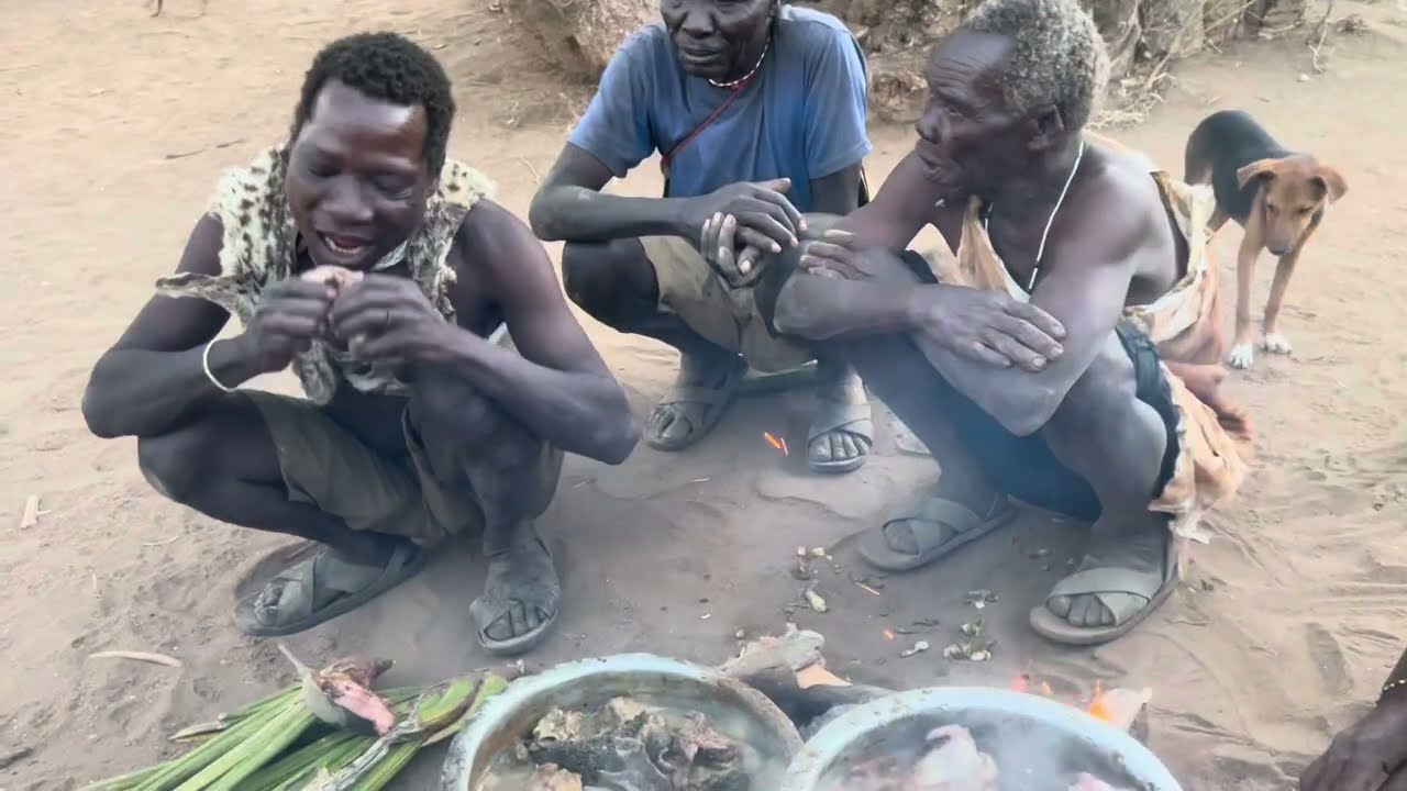 Wilderness Feast😳😳Discover Delicious Wild Meat From The Last Bushmen
