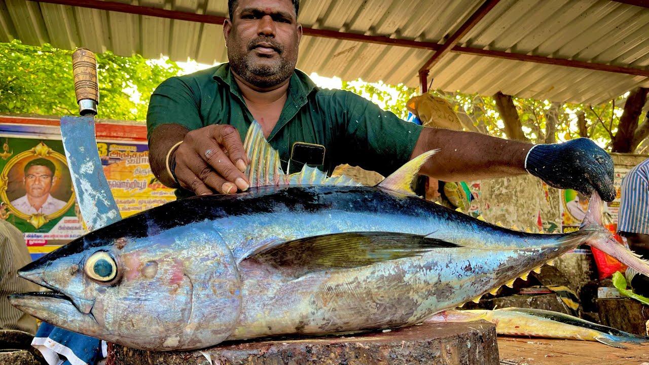 KASIMEDU🔥MINNAL RAJA HUGE TUNA FISH CUTTING VIDEO | 4K VIDEO | LifeOfFisherman #speedselvamcutting 