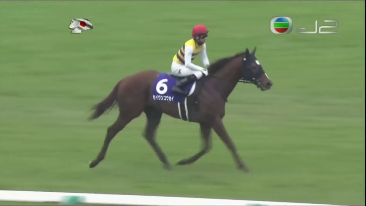 2017 Takamatsunomiya Kinen G1 - Seiun Kosei (特色星雲) - H.Miyuki