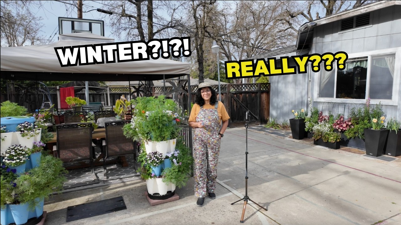 It sure doesn't feel like WINTER! 15 GreenStalks tour;Self-watering planters, indoor seed-starting!