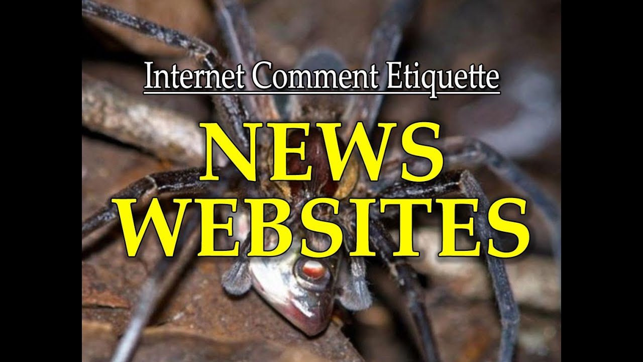Internet Comment Etiquette: 