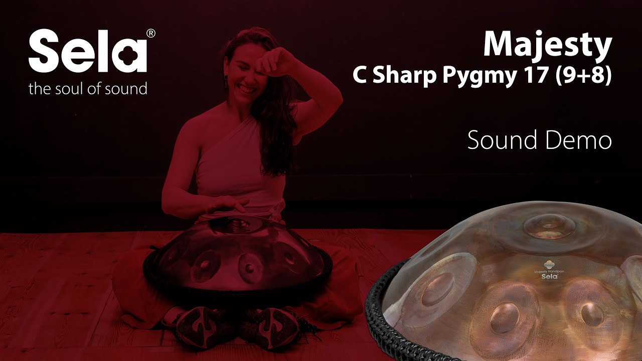 Sela Majesty Handpan C# Pygmy 9+8 (440 Hz) - SE 307
