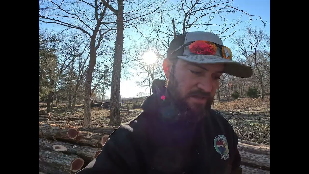 Cedar logging/clearing!