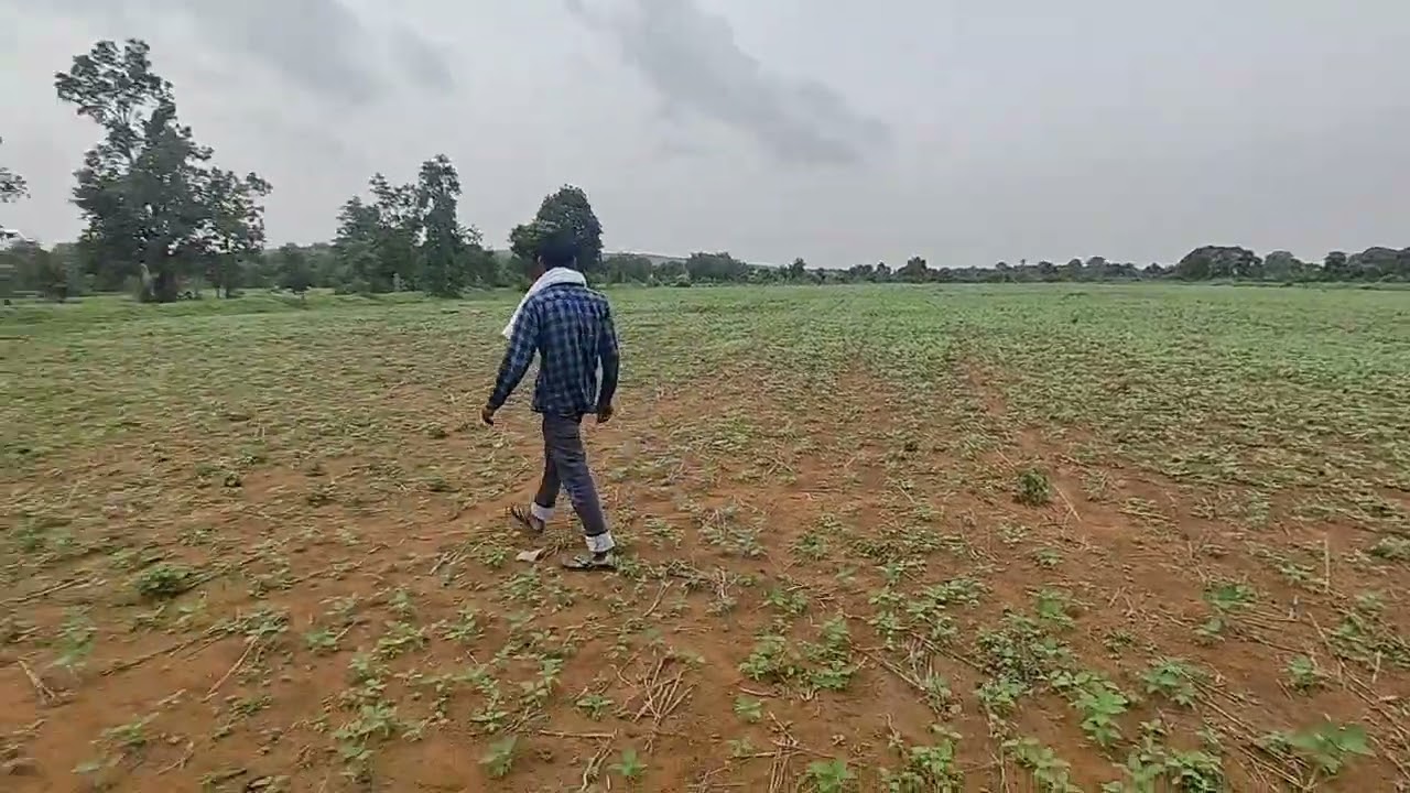 मध्य प्रदेश के कटनी में 100 एकड़ जमीन ।
