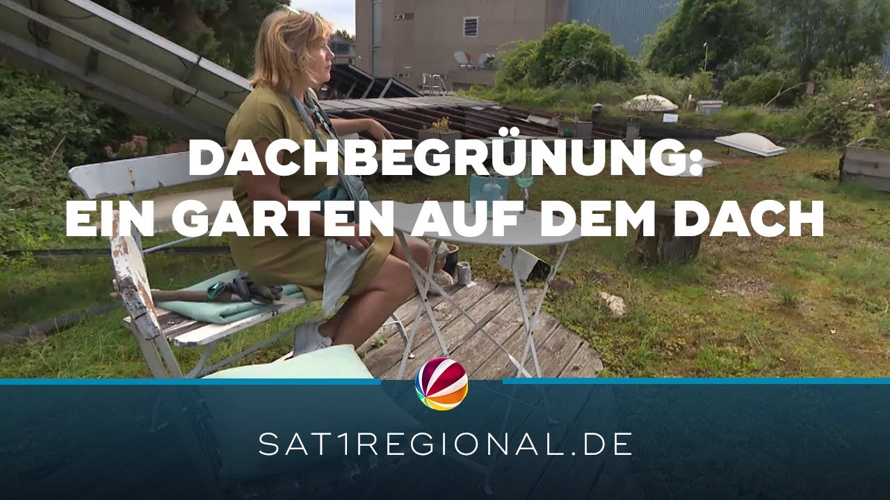 Dachbegrünung: Welche Vorteile hat ein Garten auf dem Dach?