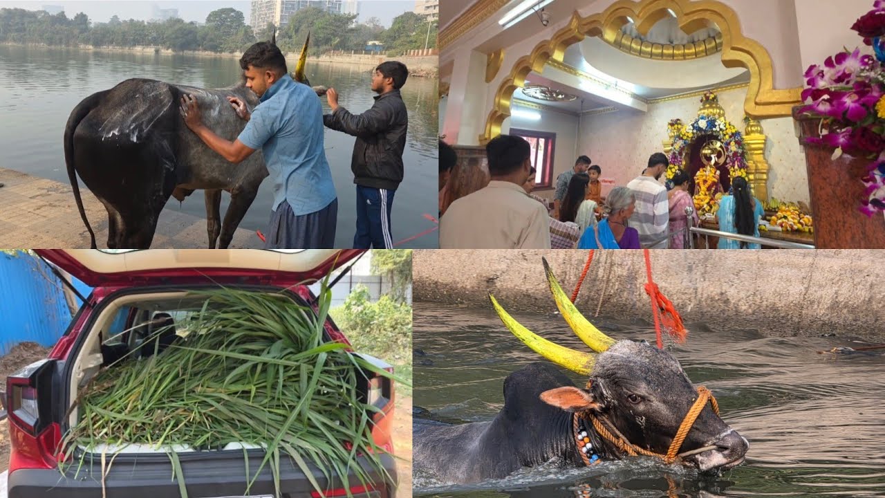 शिव शंभूला दिली पोहनी 🥰 येवढा दिवस ब्लॉग का येत नव्हते ह्याचा मागचा कारण काय..???