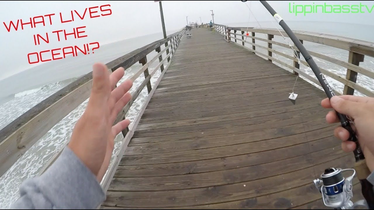 Fishing Off The PIER At CHERRY GROVE South Carolina!