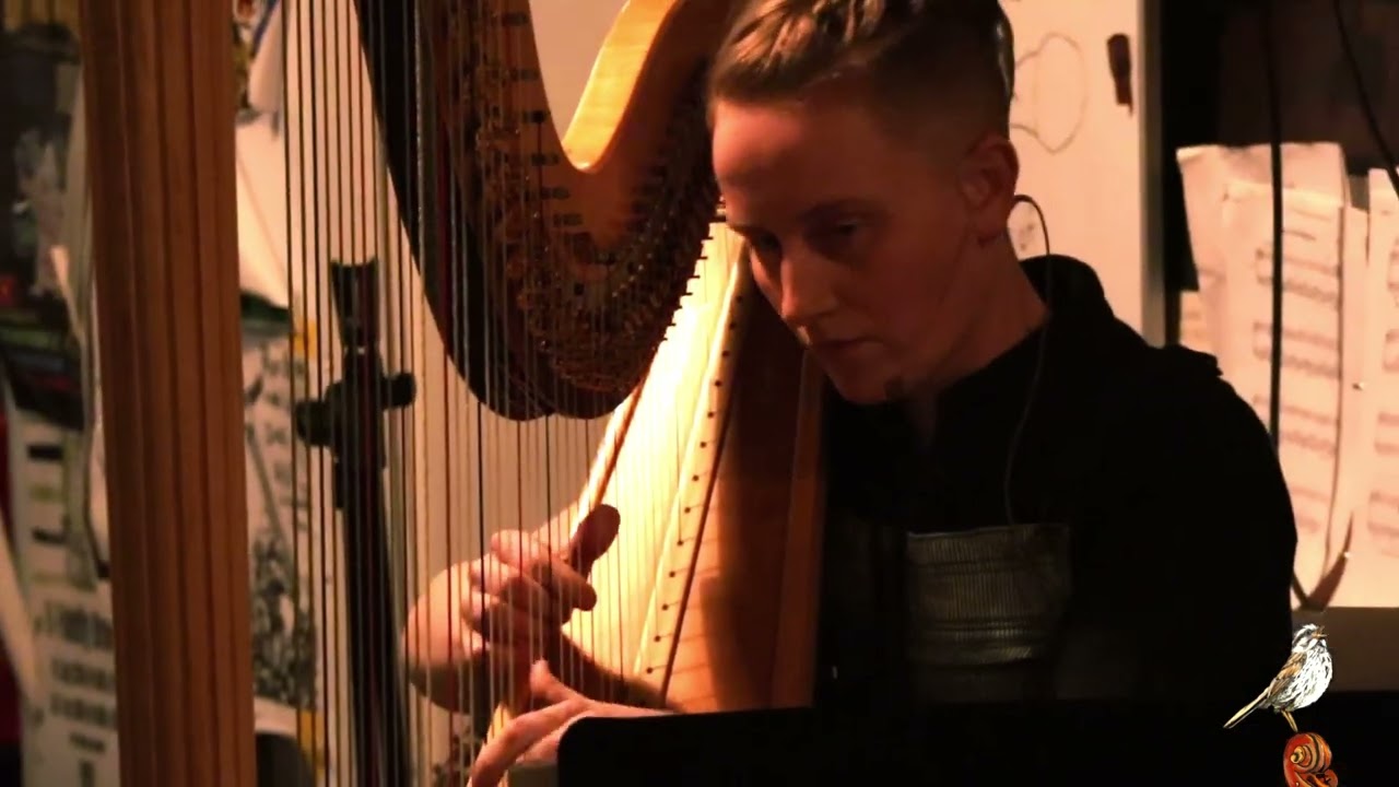 Tristan and Isolde - Live at Hi-Fidelity Brewing - 01-31-2026