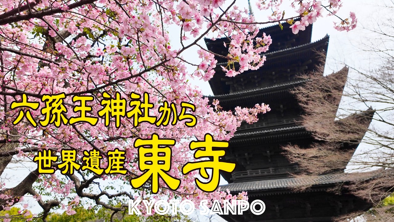 2026/3/6 (金) 🌸京都に春が近づく日🌸 六孫王神社から世界遺産『東寺』へ春を感じるお散歩Vlog 梅花と河津桜のコラボレーション!! /春の京都/春さんぽ/Kyoto walk [京都4K]
