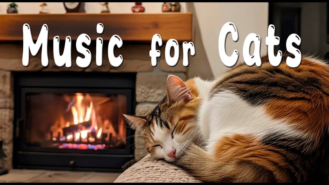 Hyper Healing Cat Music 🐈‍⬛ Deep Calm Music for Cats Helps Sleep and Chill