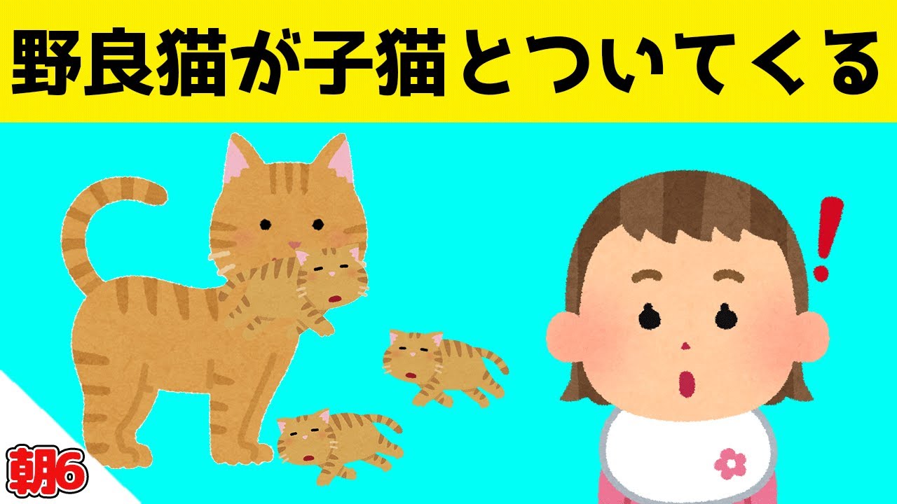 なつかない野良猫が生まれたての子猫をくわえて見せに来てくれた結果ｗｗｗ