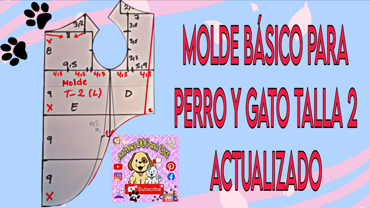 MOLDE BÁSICO PARA PERRO TALLA 2 ACTUALIZADO