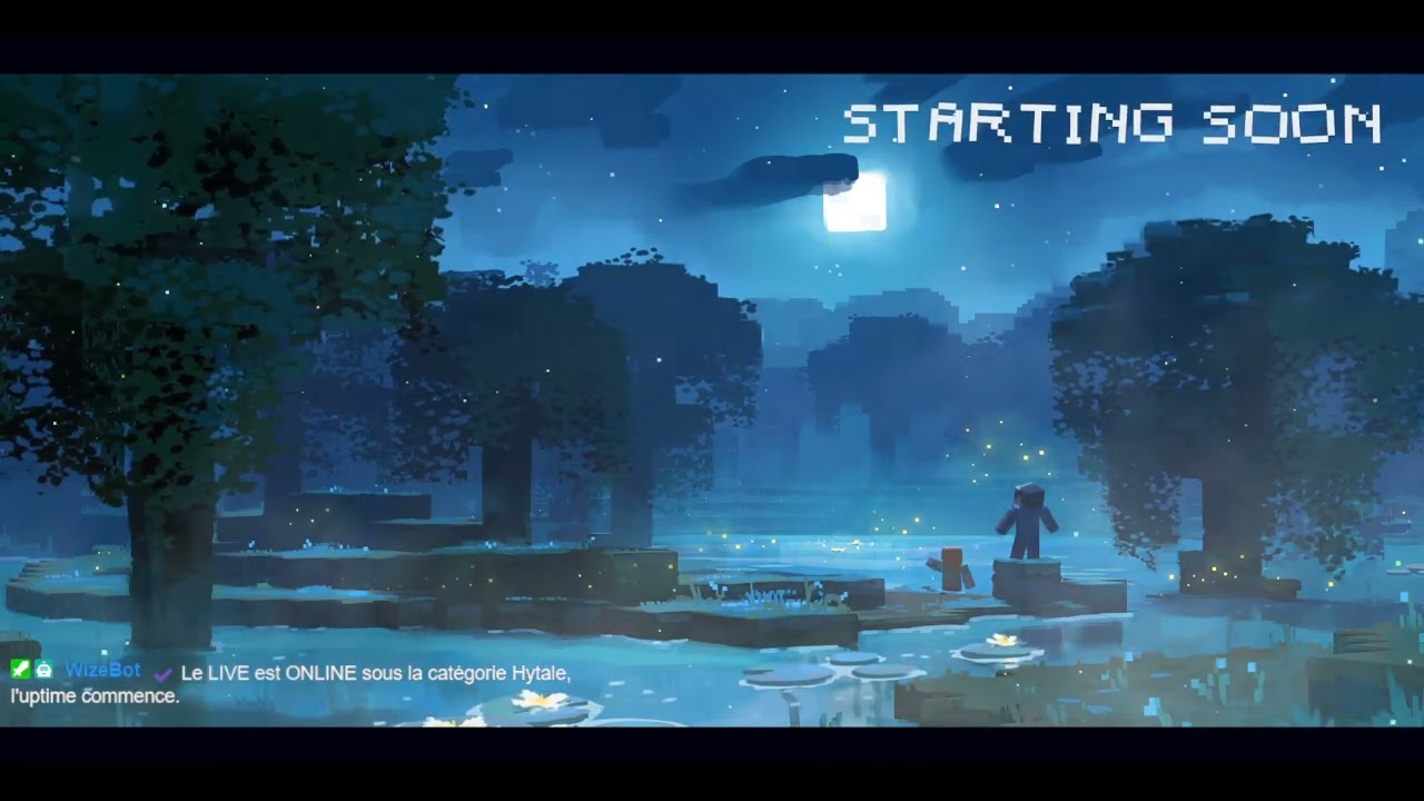 Objectif base HYTALE !