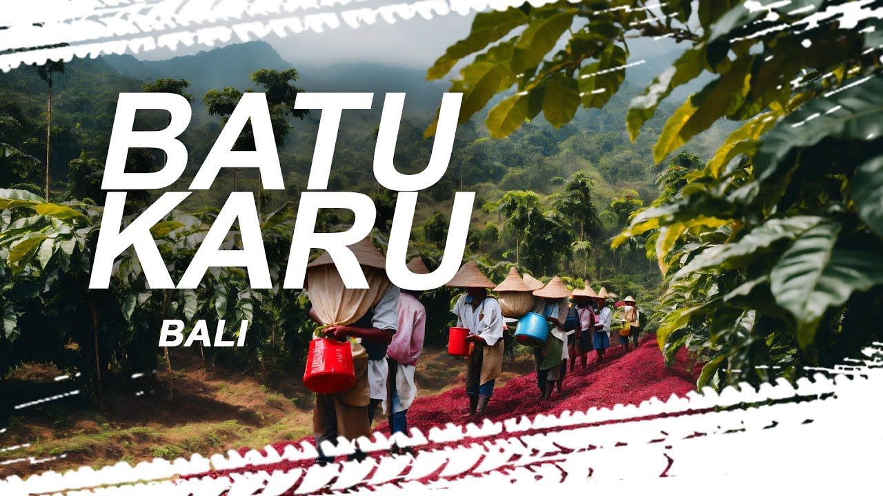 Bali Guided Tour // BBatu Karu Origins // Full Day with INTREPID MOTO