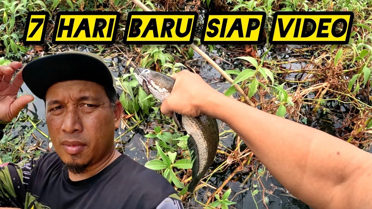 Tahan Tajur Dan Tahan Tukir #gengdunia